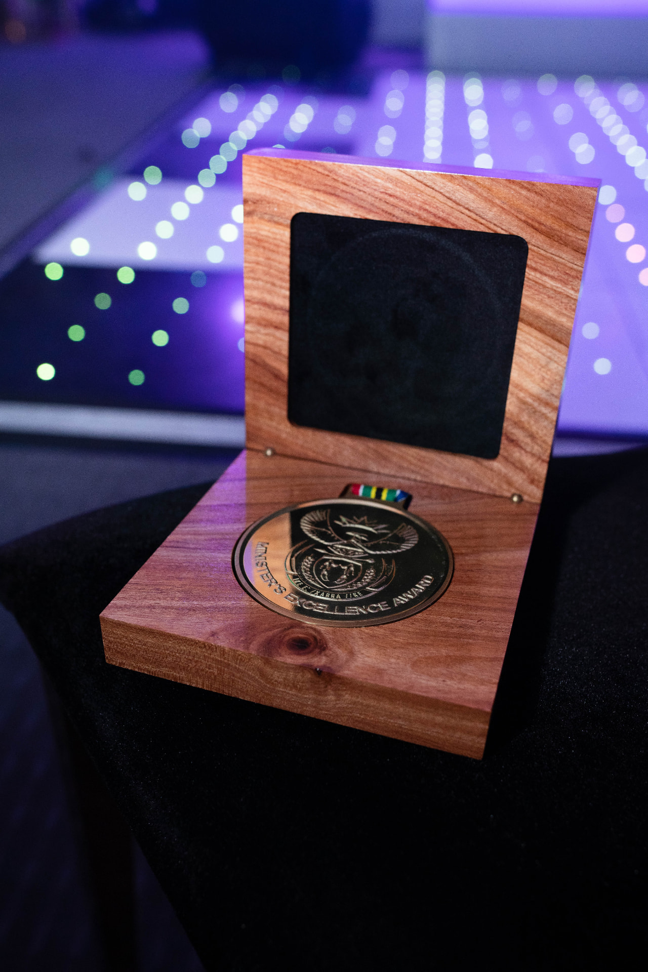 Sundowns Recognition of Excellence Awards — Minister's Excellence Award medal