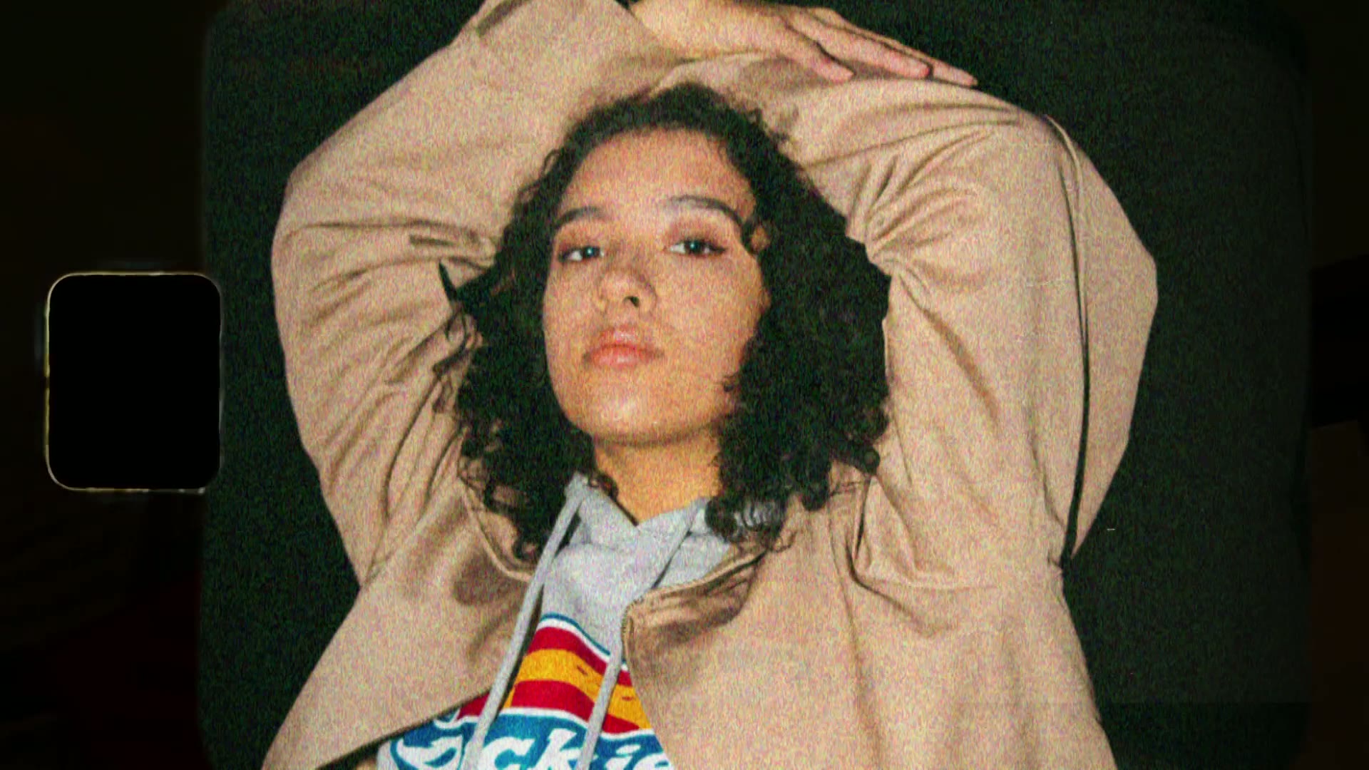 Dickies Icon