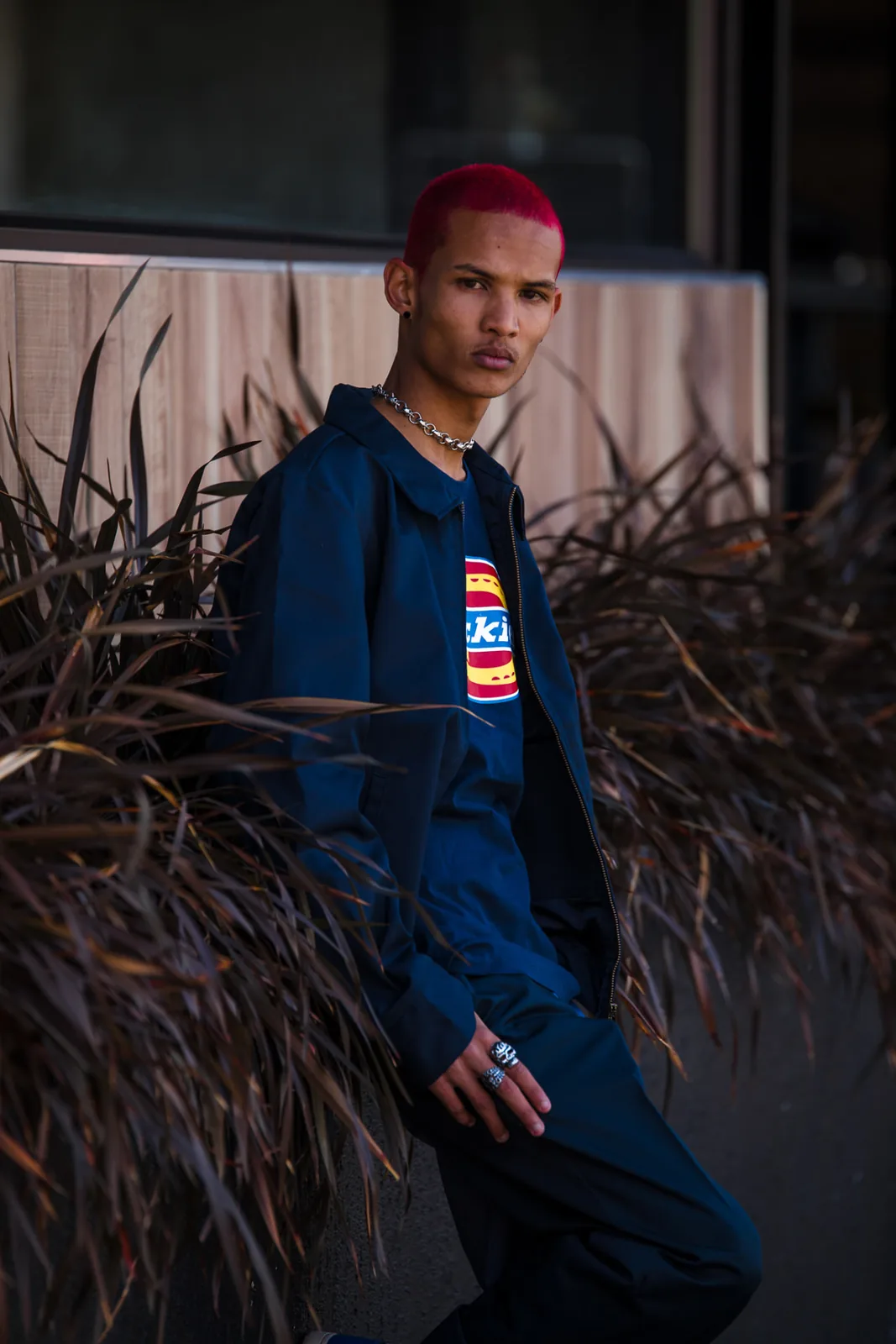 Dickies Icon campaign photograph