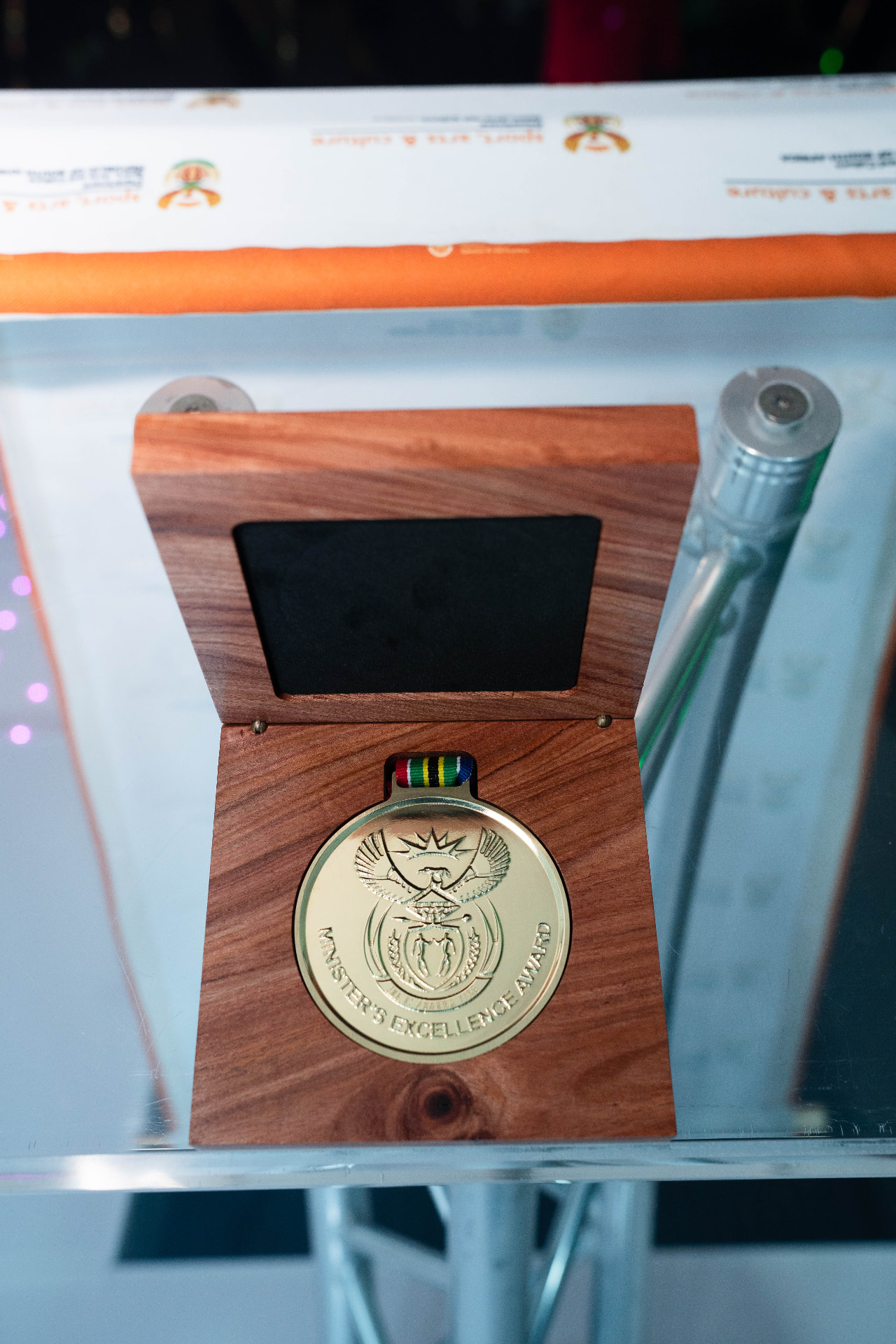 Sundowns Recognition of Excellence Awards — Minister's Excellence Award medal